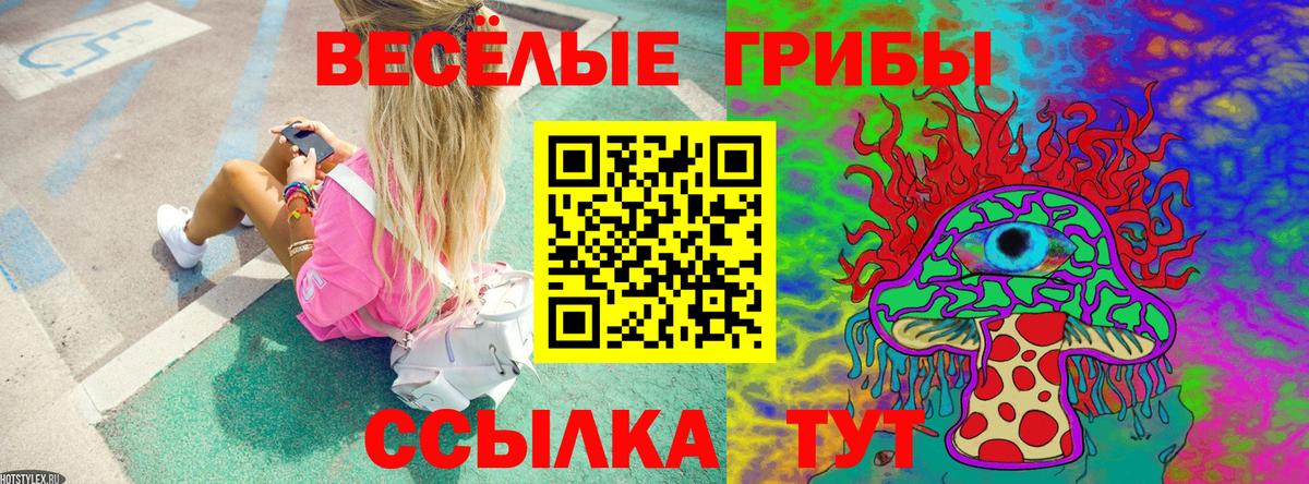 Сергиев Посад  Псилоцибиновые грибы мухоморы  Вход с VPN  Галлюциногенные грибы Psilocybe 